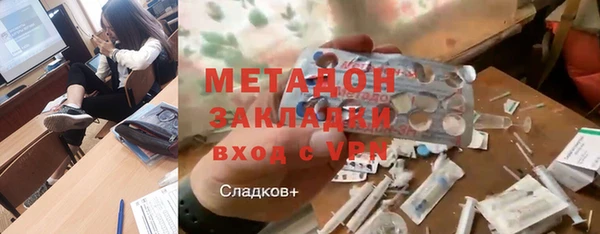 гашик Алексин