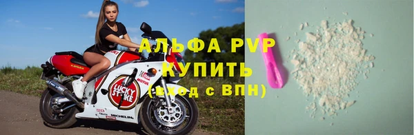 гашик Алексин