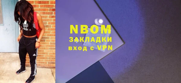 гашик Алексин