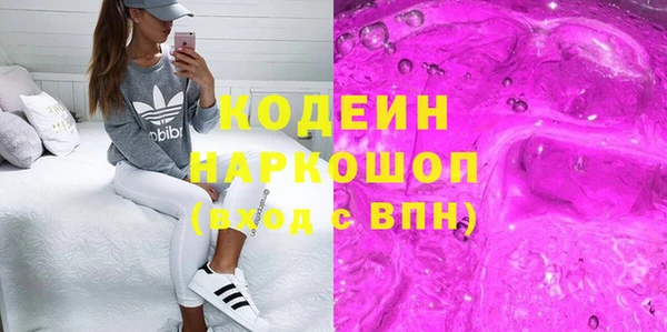 гашик Алексин