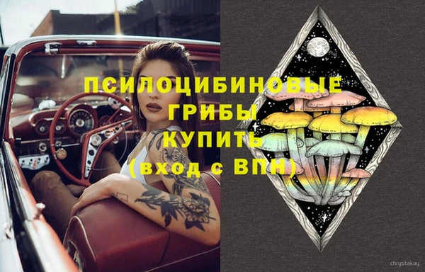 гашик Алексин