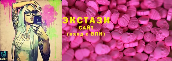 гашик Алексин