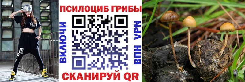 Галлюциногенные грибы мицелий  даркнет Telegram  Пыталово 