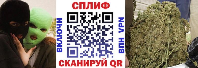 купить цена Пыталово Каннабис индика